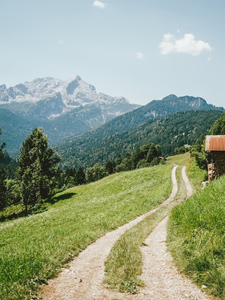 Pathway In The Alps