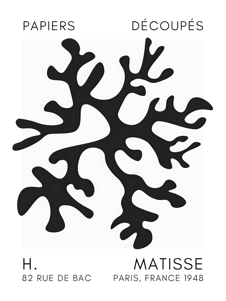 Matisse 29