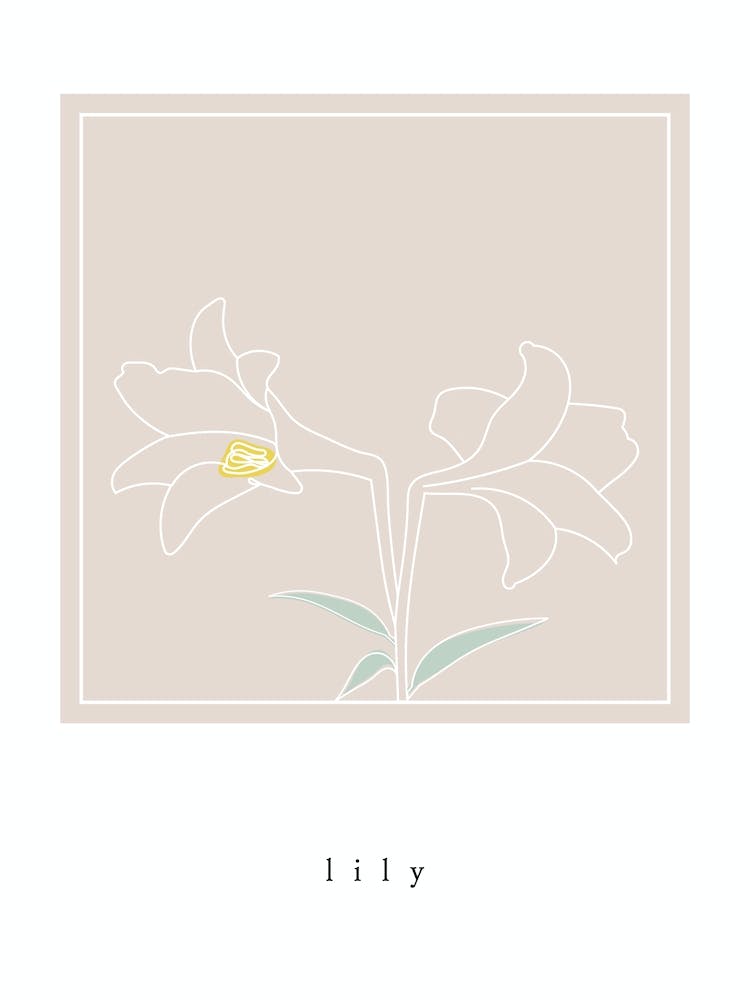 Lily - Botanical Art