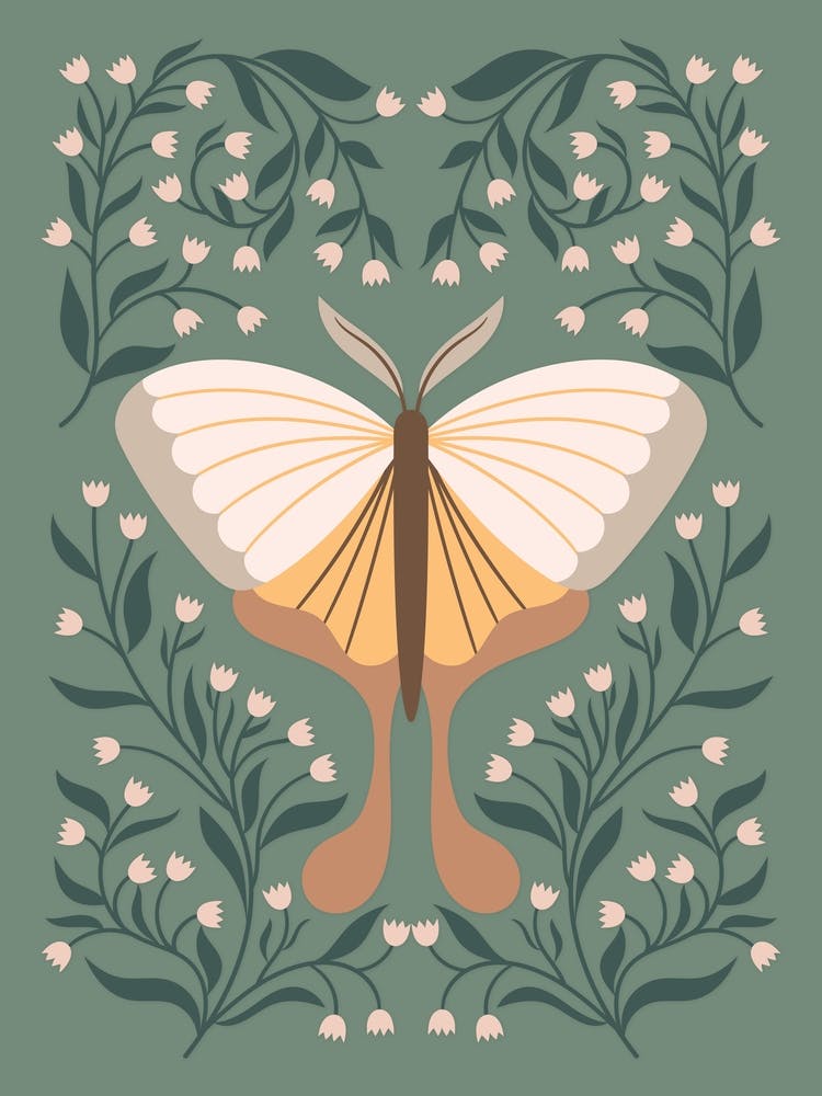 Moth On A Muted Green Background Botanical