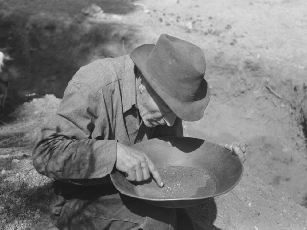Prospector Pointing To Flecks Of Gold In His Pan, Pinos Altos, New Mexico By Russell Lee