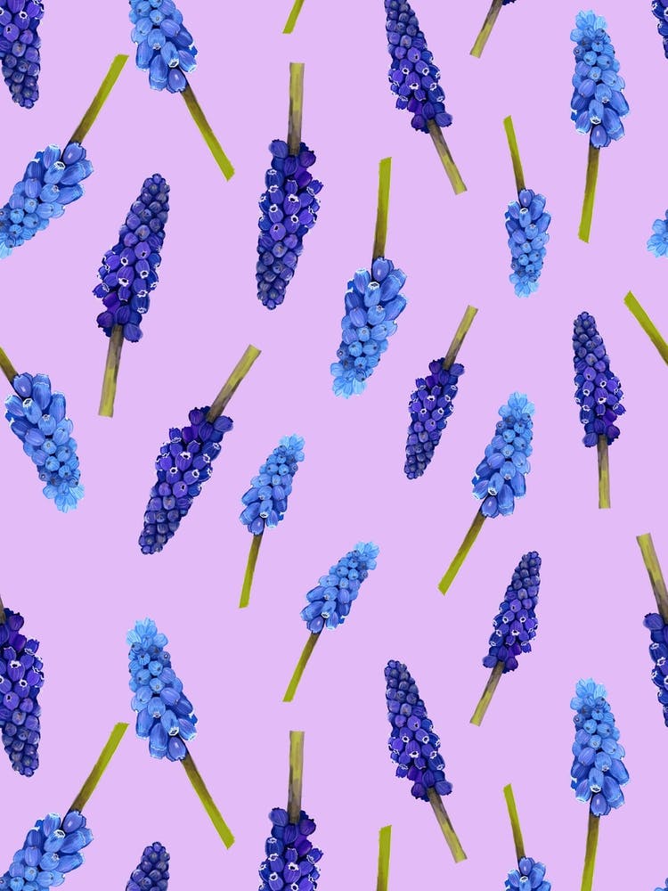 Muscari Flowers Lilac
