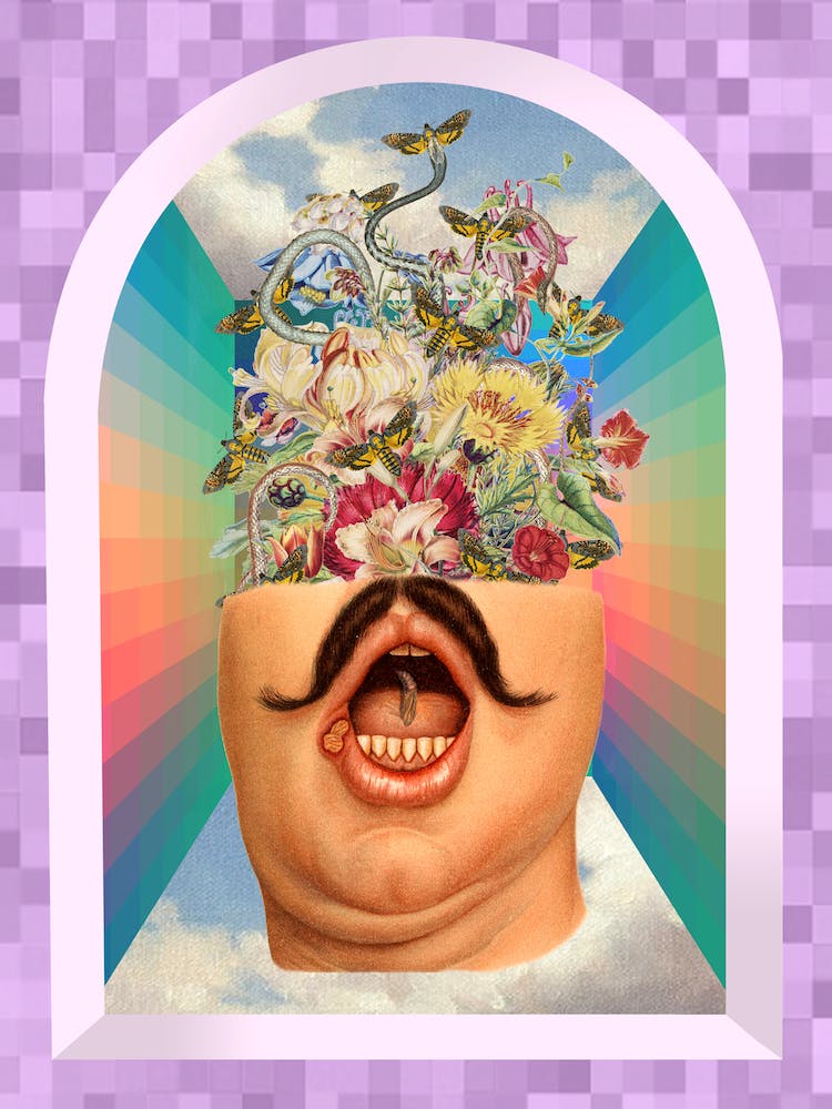 Flower Head