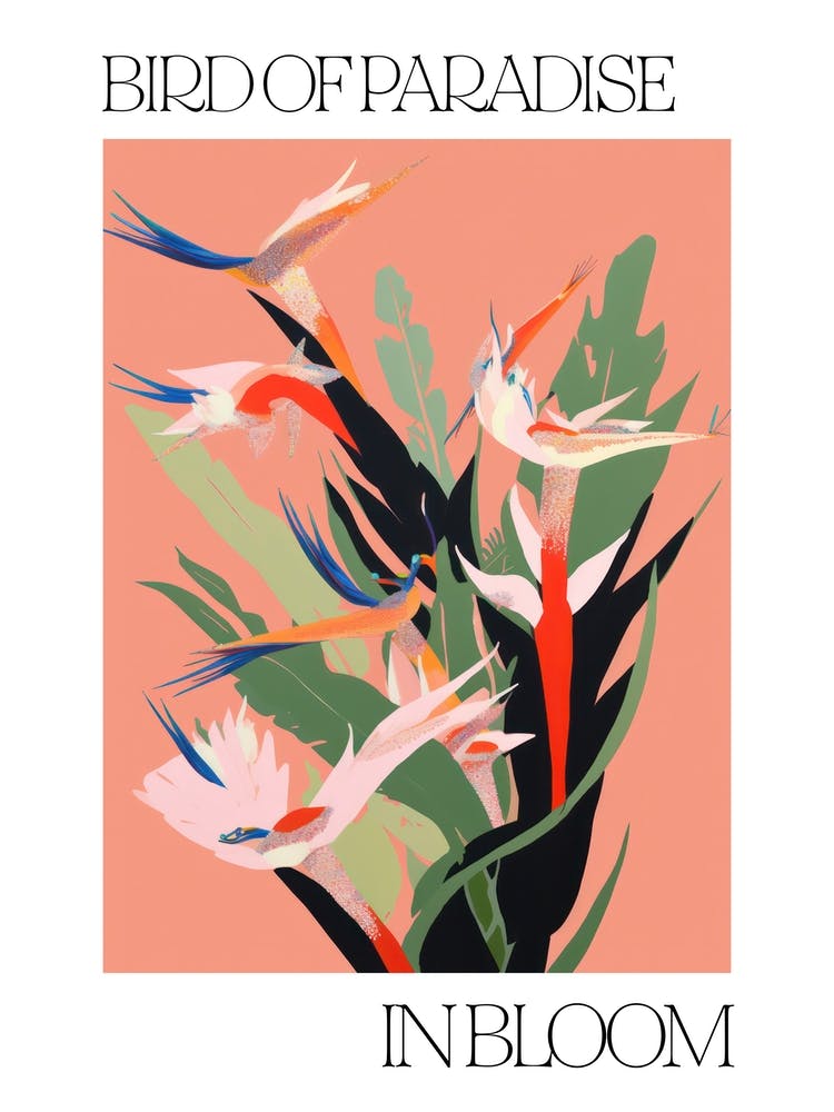 Bird Of Paradise In Bloom Flowers Bold Illustration 1