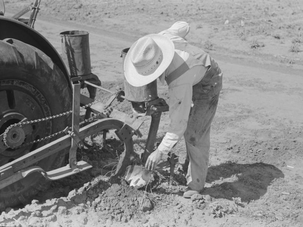 Day Laborer Removing Clod Of Dirt From Plow Points On Tractor On Large Farm Near Ralls, Texas By Russell Lee