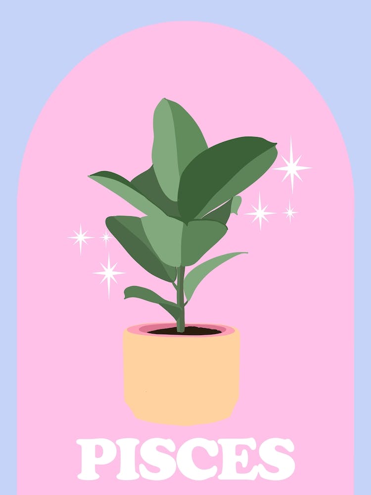 Botanical Star Sign Pisces