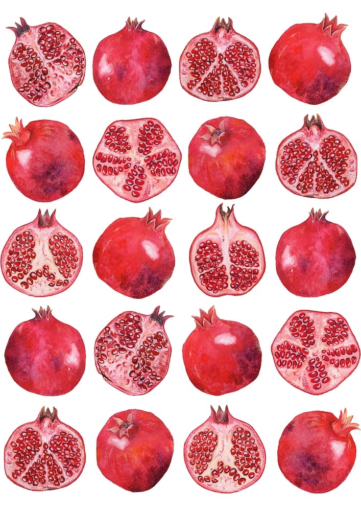 Repeat Pattern Pomegranate