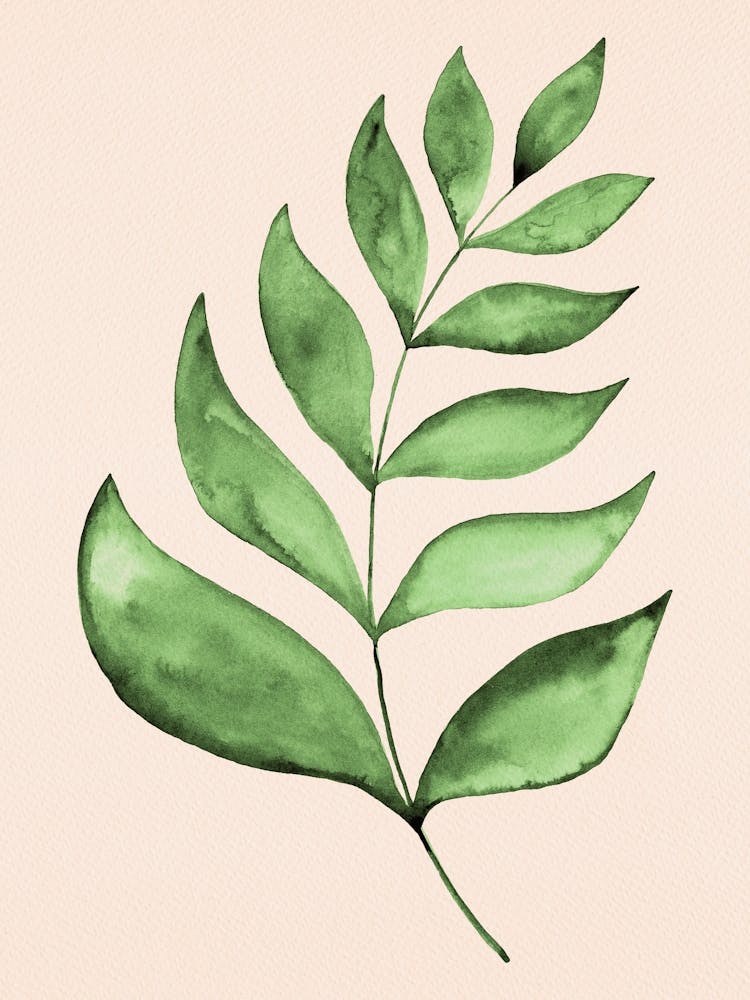Simple Branch