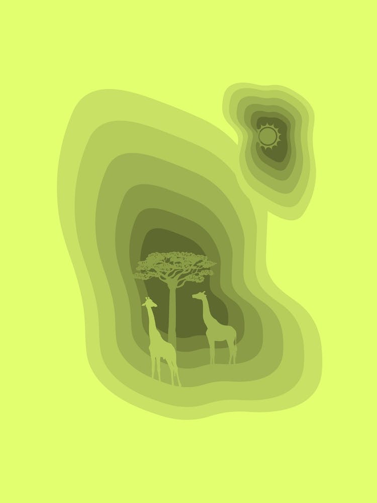 Green Safari