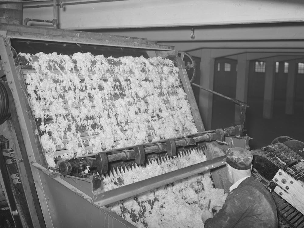 Freshly Scoured Wool Entering Drying Chamber At Wool Scouring Plant, San Marcos, Texas By Russell Lee
