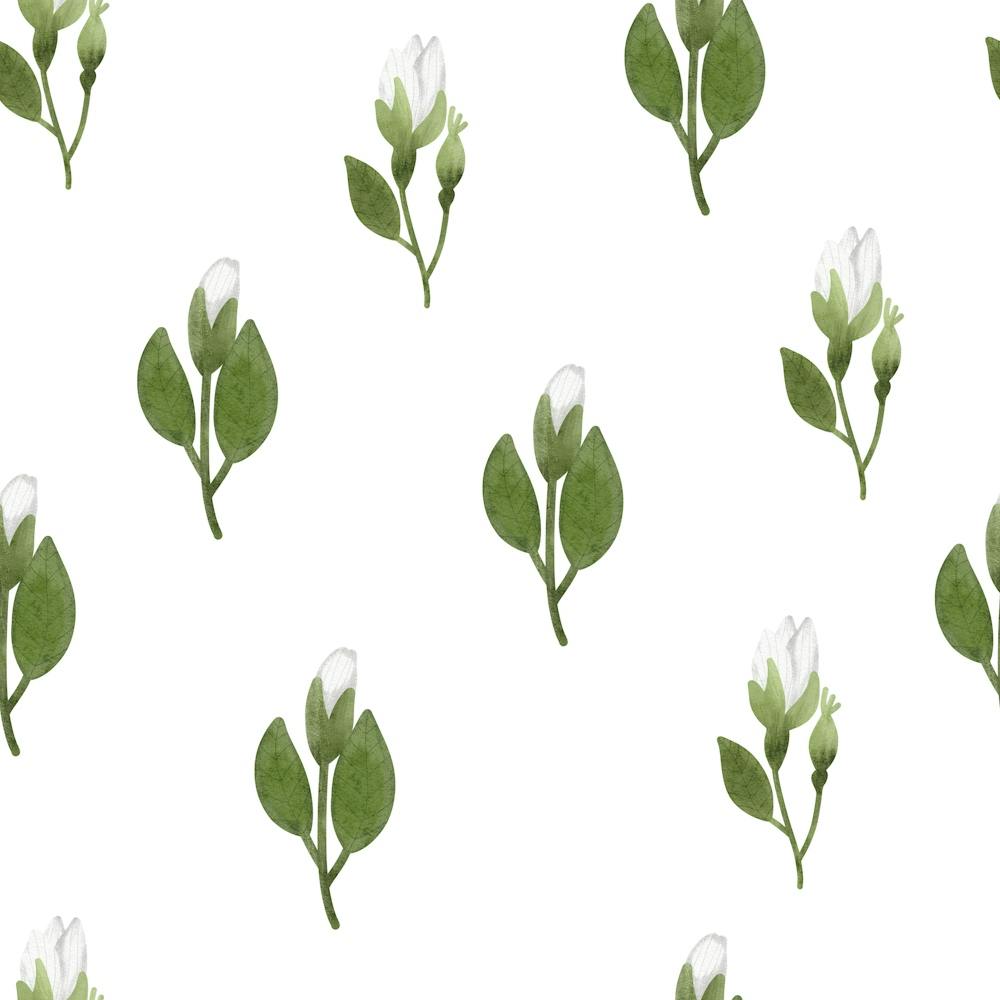 White rose buds