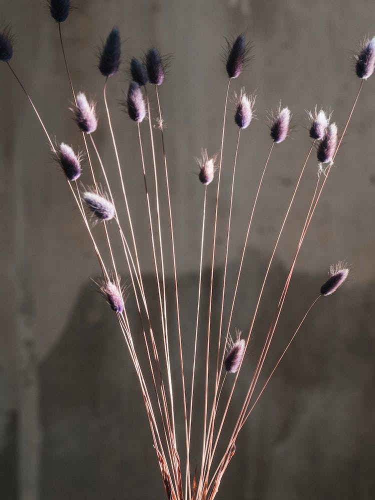 Minimal Bouquet Details