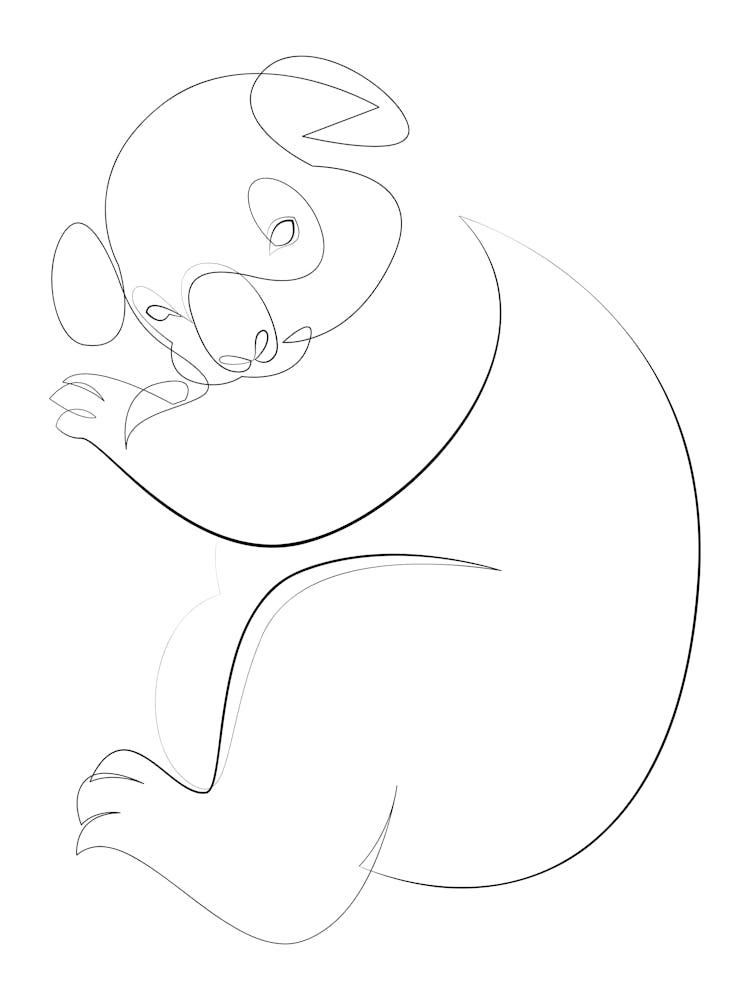 Koala