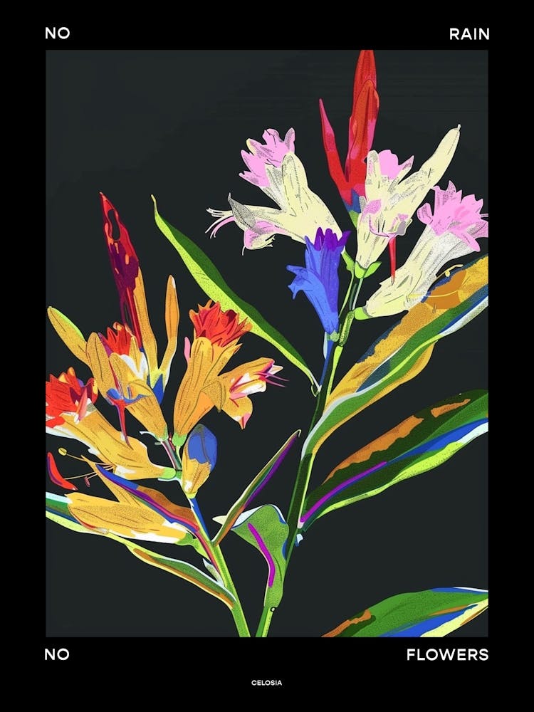 No Rain No Flowers Poster Celosia 4