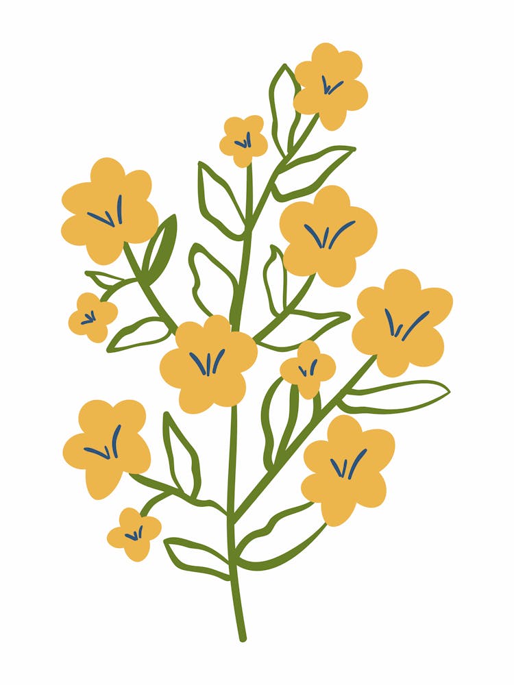 Yellow Flowers 1