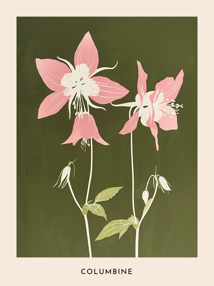 Pink & Green Columbine 3 Flower Poster