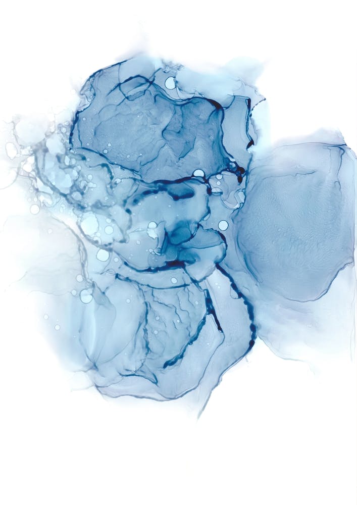 Ink No15
