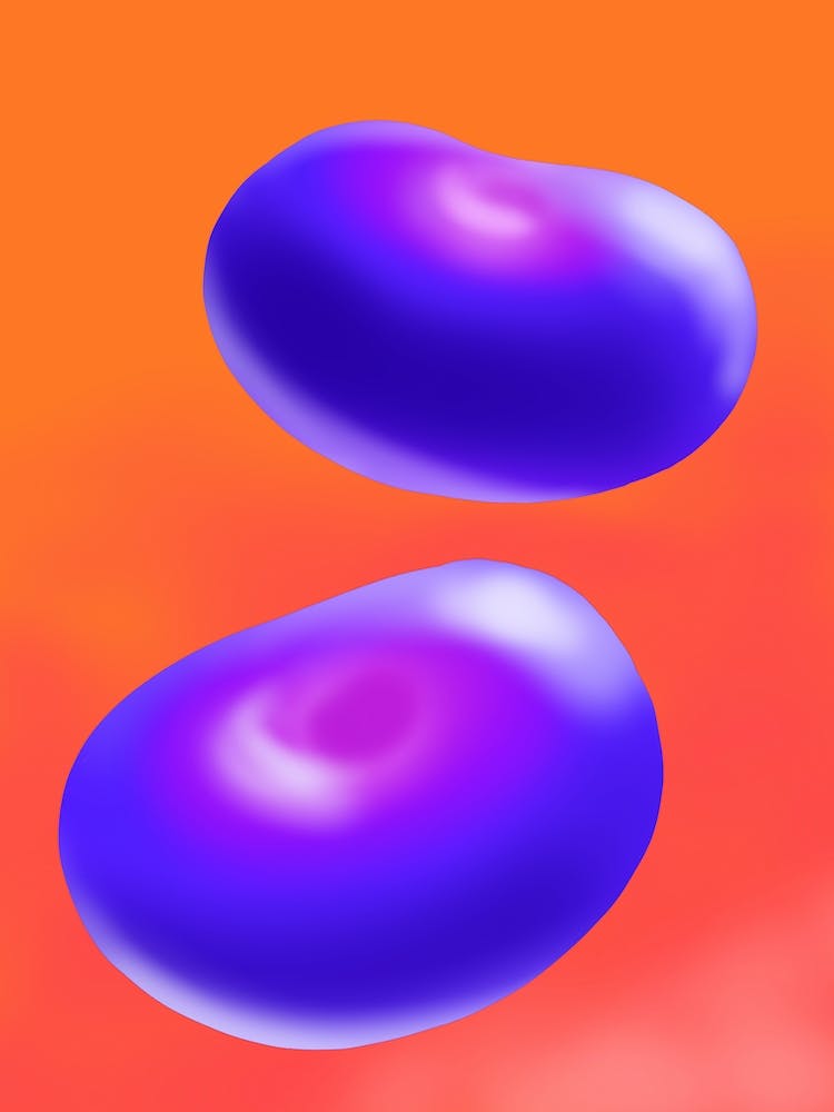Inairfruitsb
