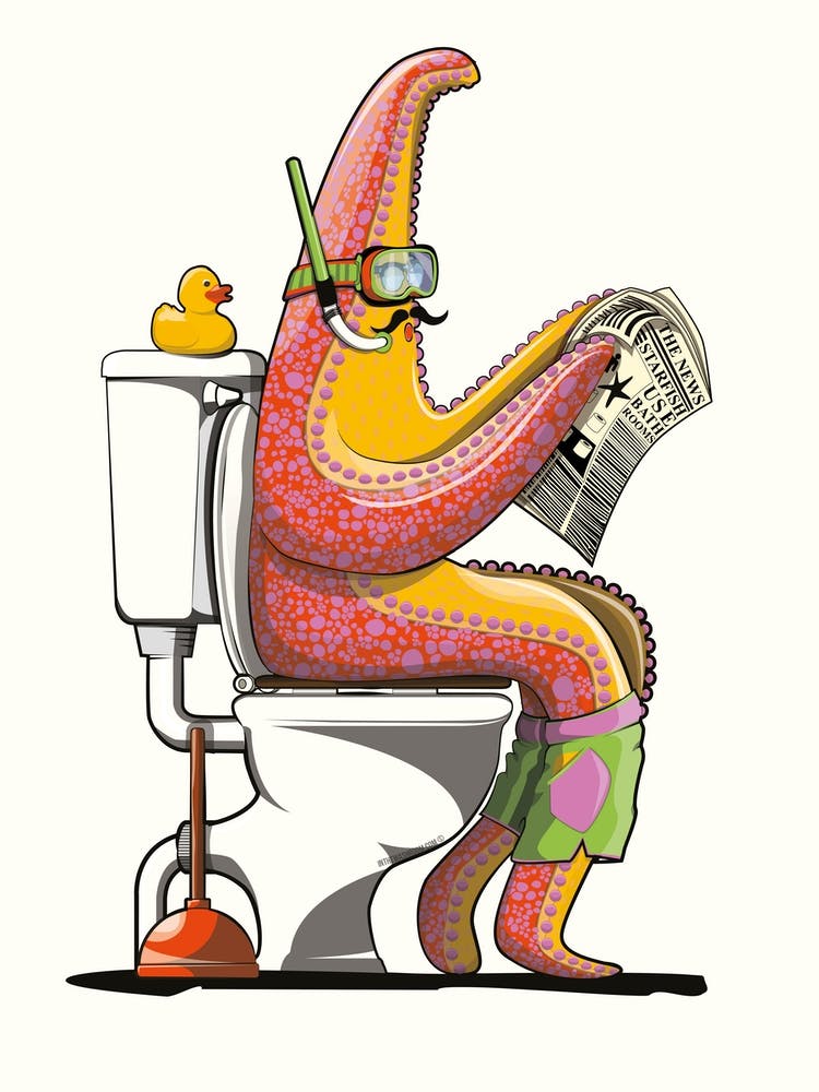 Sea Life Starfish On Toilet Bathroom