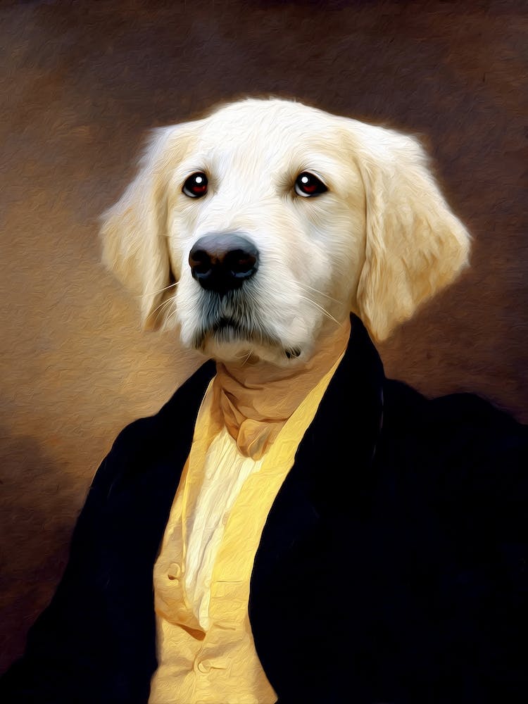 Délicieux Golden Arie Dog Portraits d'Animaux