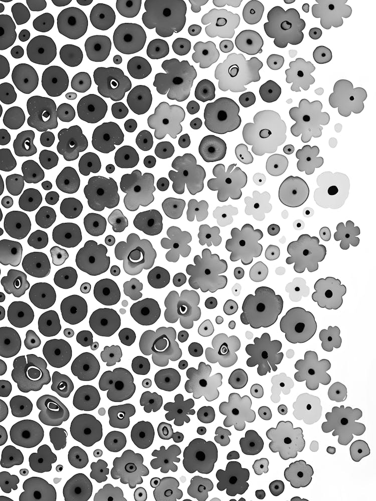 Black And White Flowers 130