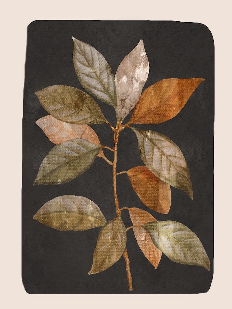 Abstract Minimal Plant Leaf 1