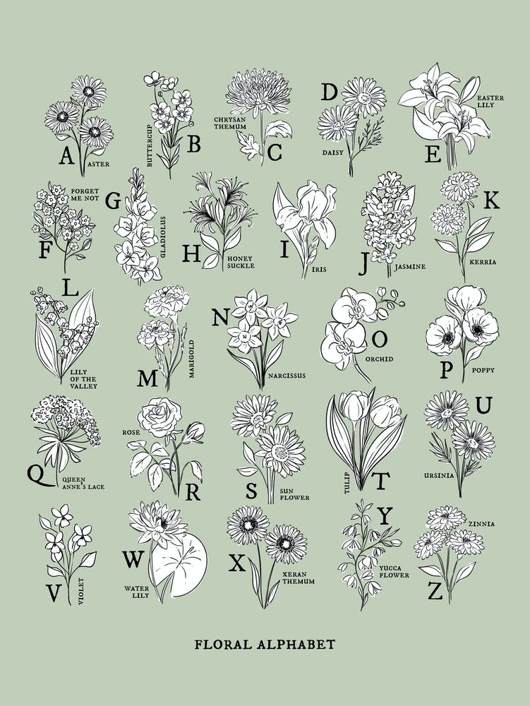 Floral Alphabet | Sage Green & White