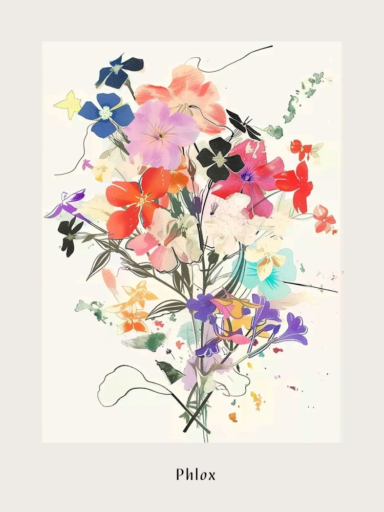 Phlox 2 Collage Flower Bouquet Poster