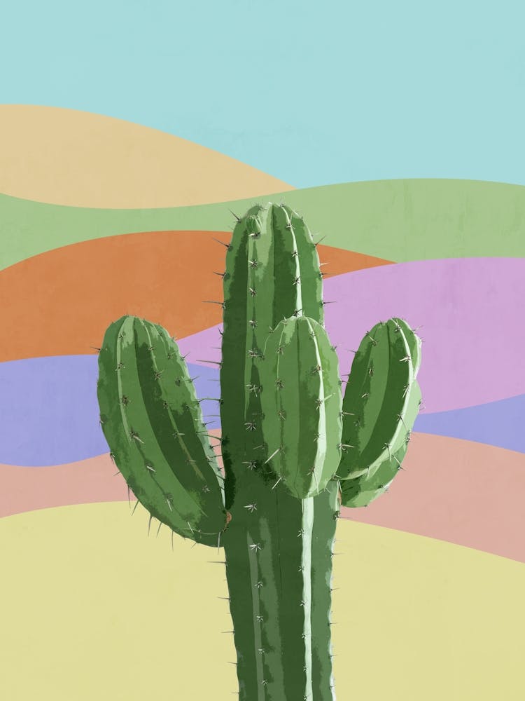 Colorful Cactus 1