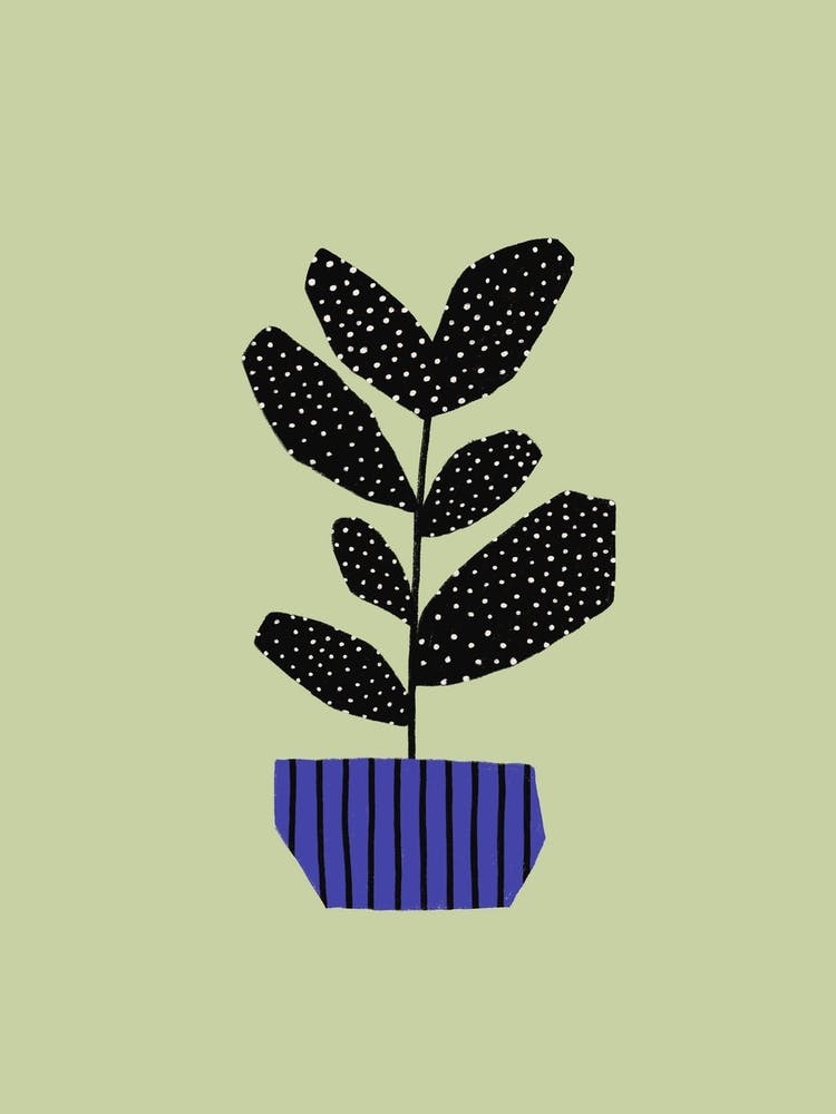 Modern Plant With Dots