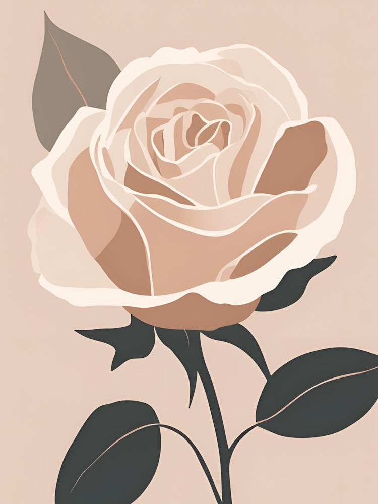 Rosa Rose 1