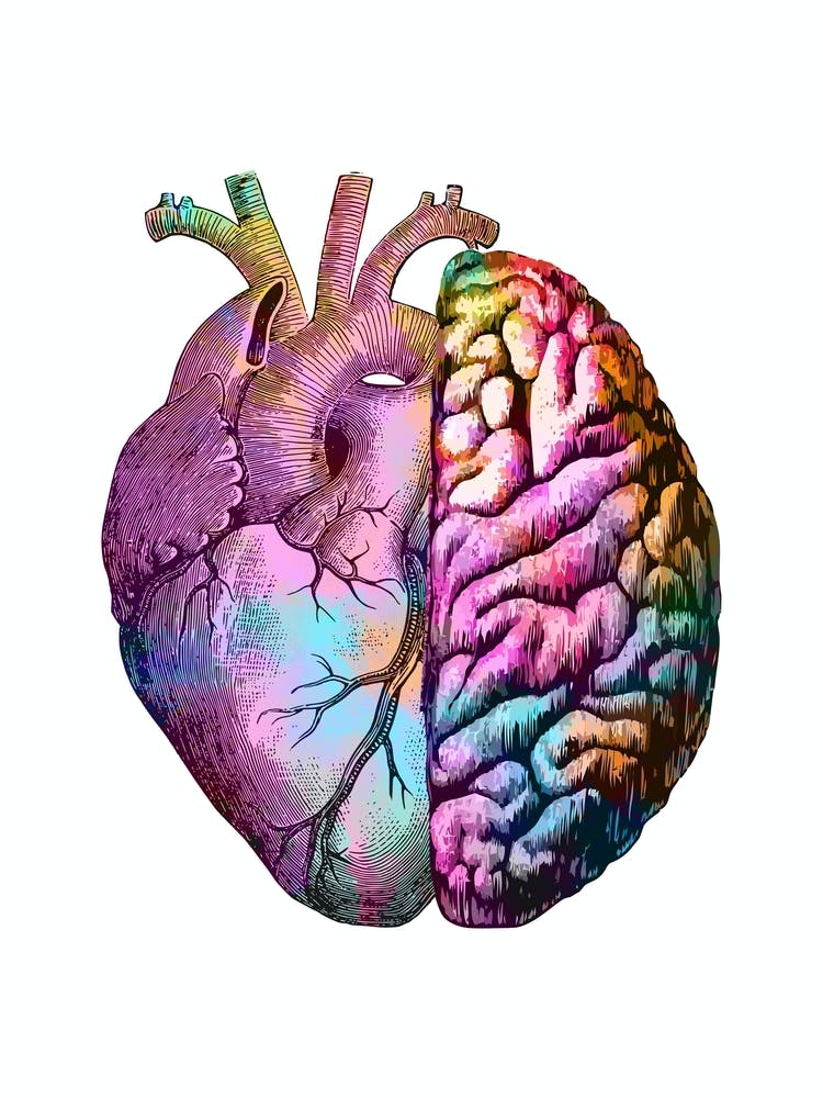 Heart And Brain Black And White 1