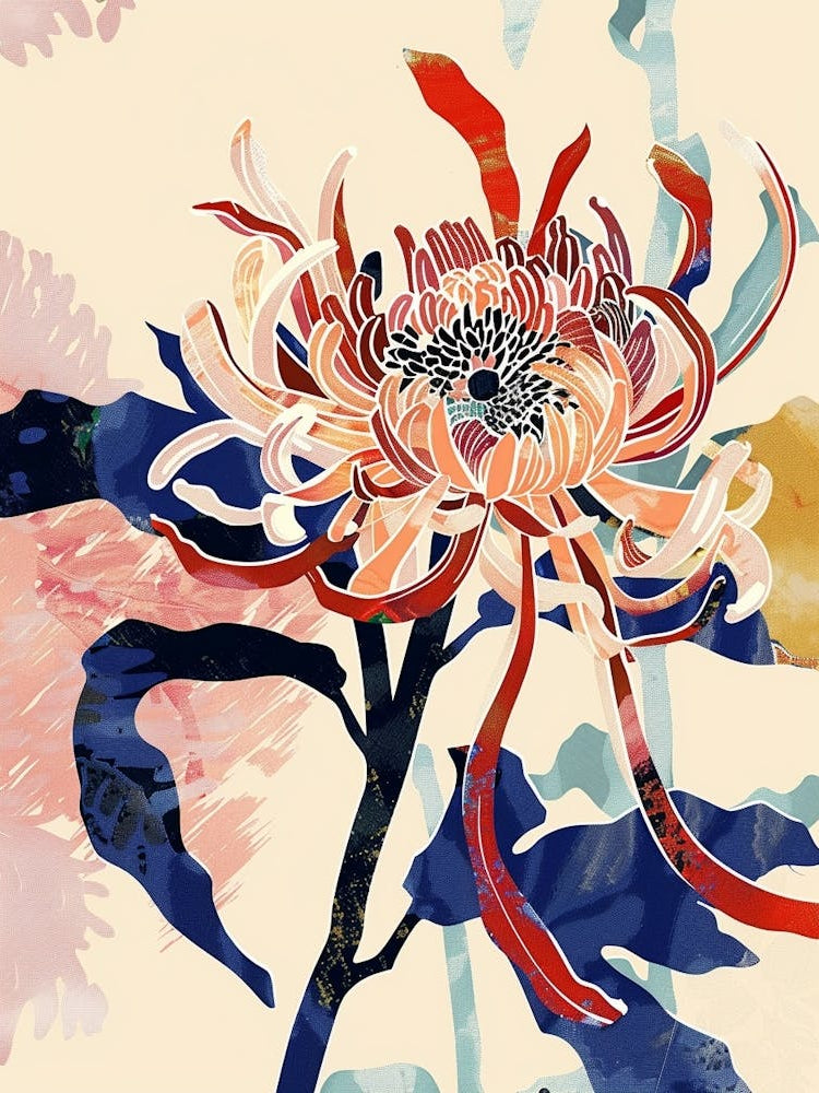 Colourful Flower Illustration Chrysanthemum 1