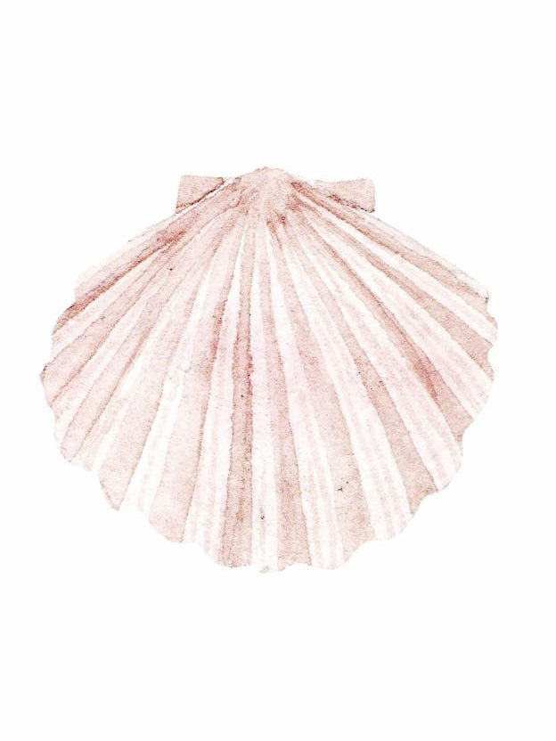 Seashell