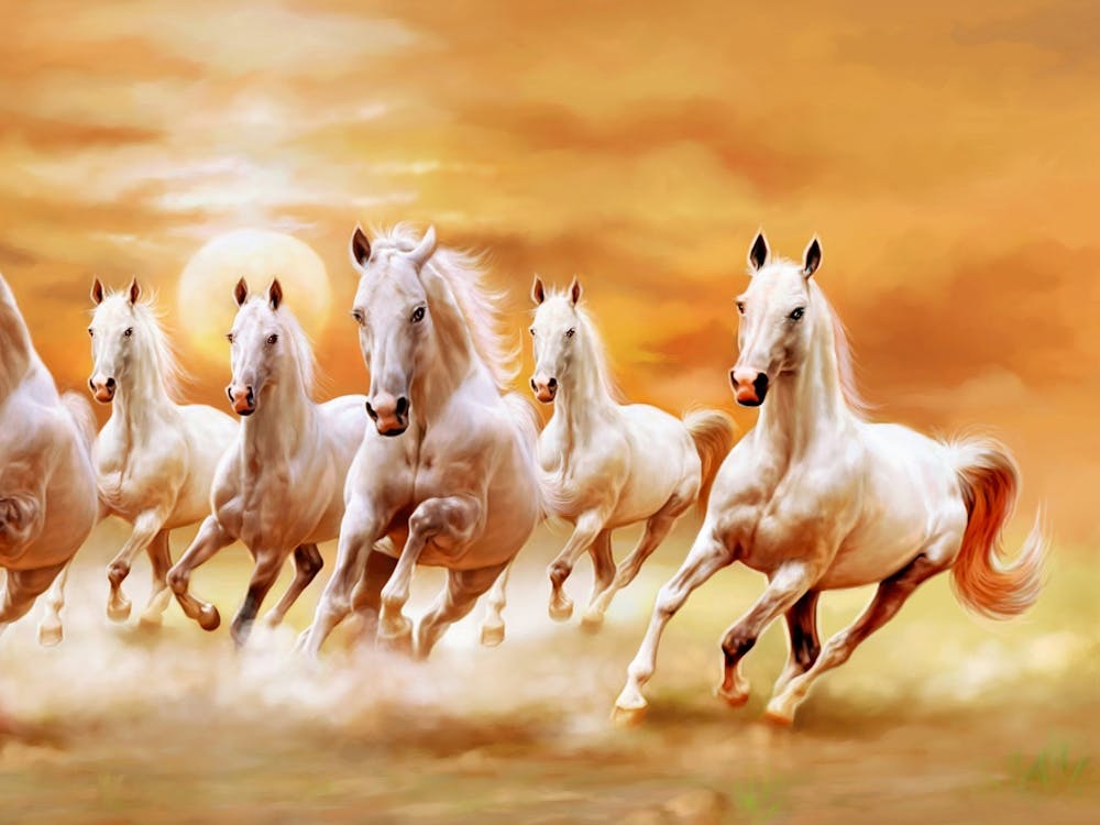 White Horses Running At Sunset