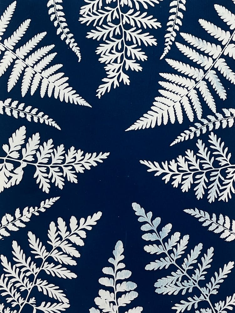 Blue cyanotype Ferns