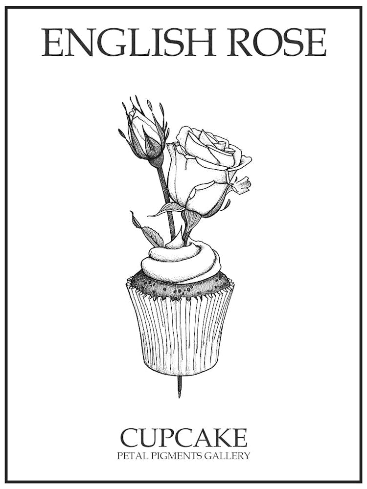 English Rose Cupcake Line Drawing 3 Poster
