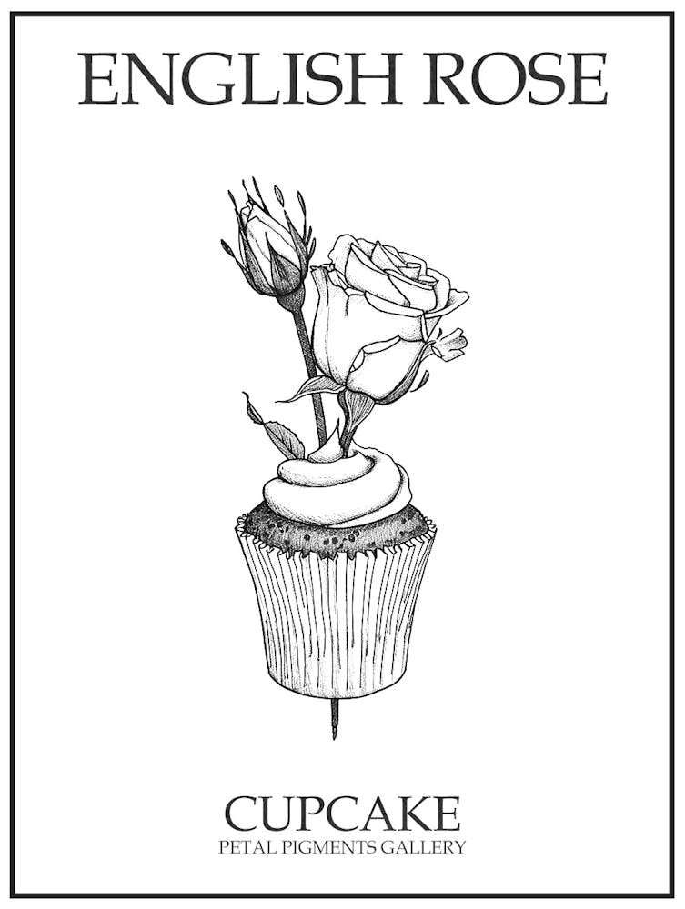 English Rose Cupcake Line Drawing 3 Poster