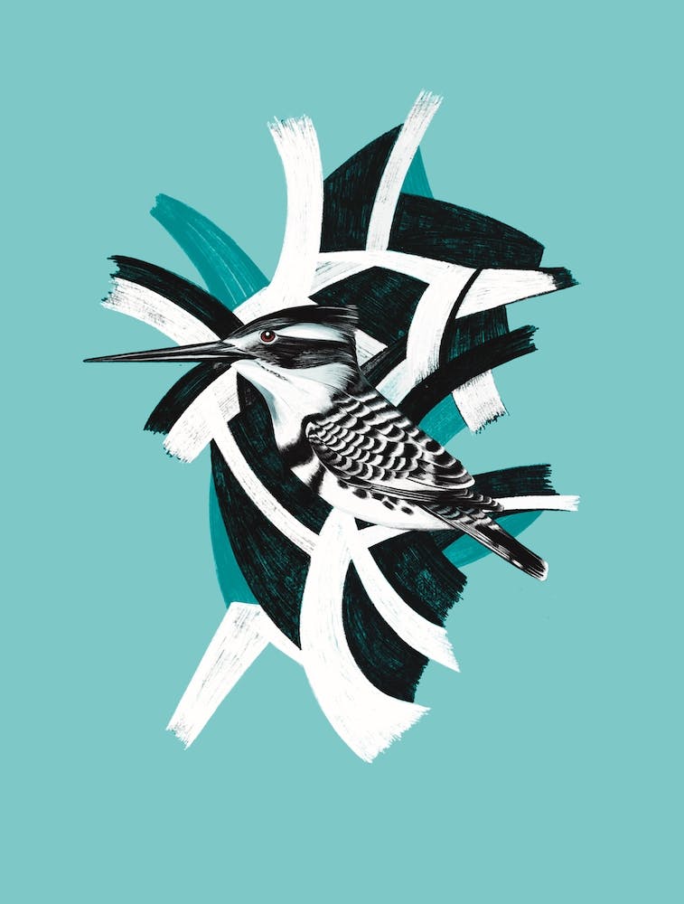 Kingfisher Blue Black Abstract Bird