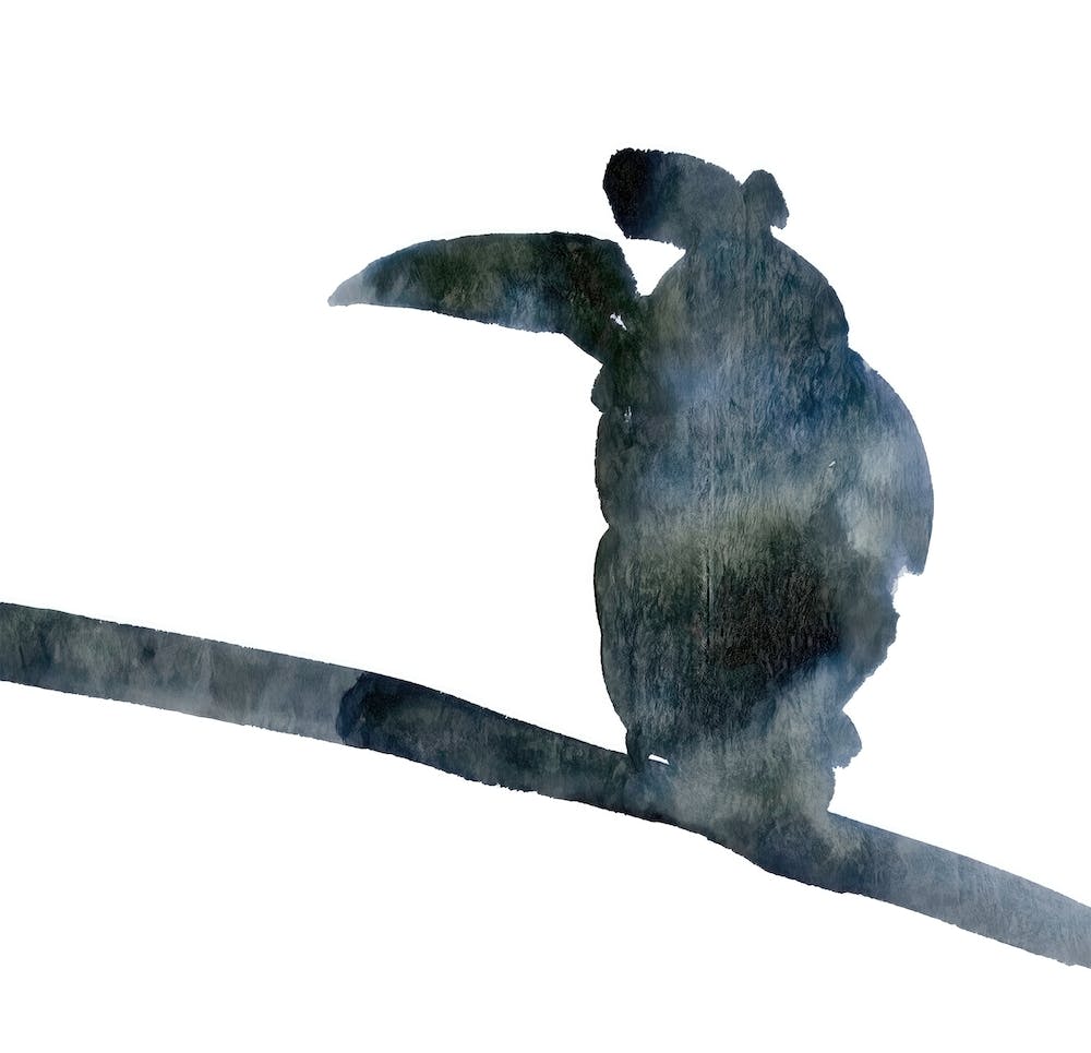 Corbeau - Peinture d'Oiseau Minimaliste
