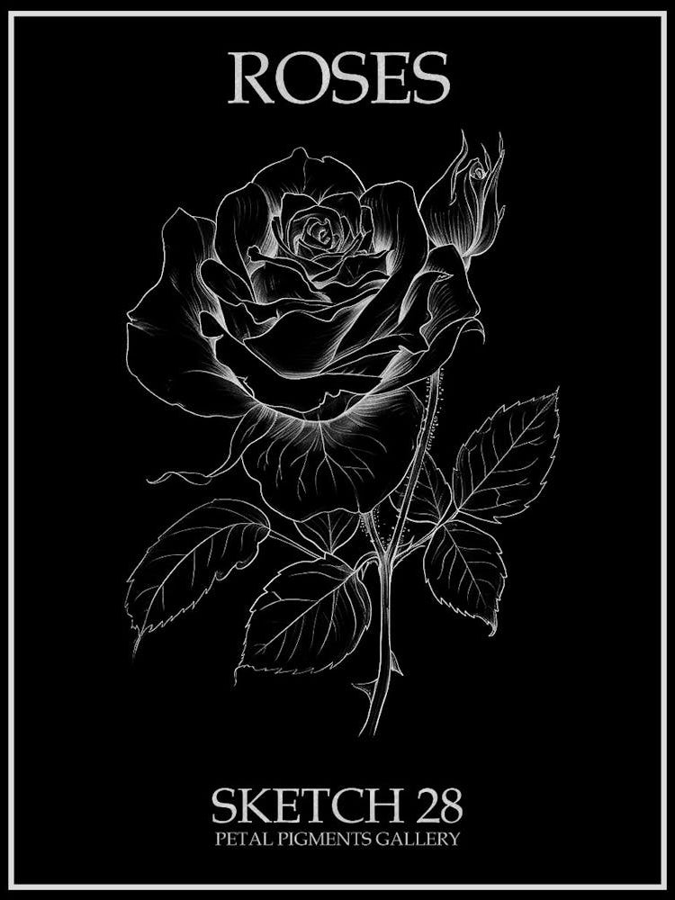 Roses Sketch 28 Poster Inverted