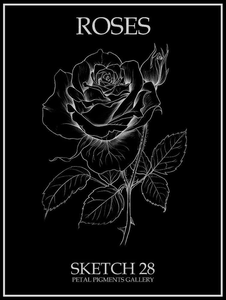 Roses Sketch 28 Poster Inverted