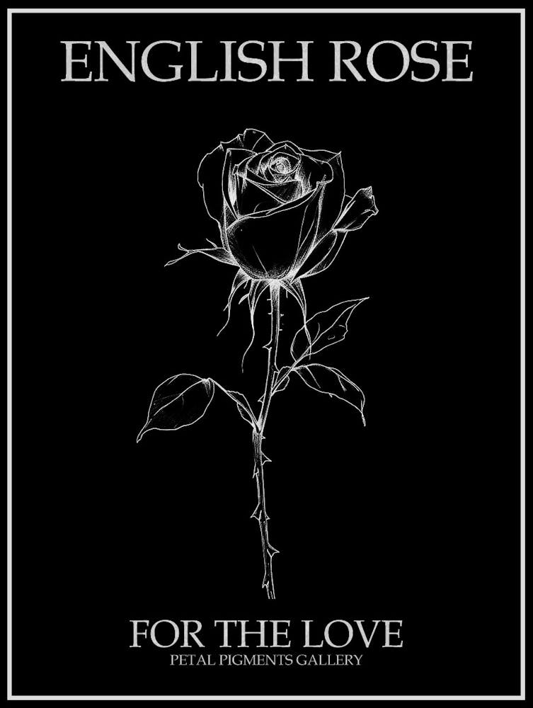 English Rose Black And White Line Drawing 20 Poster Inverted