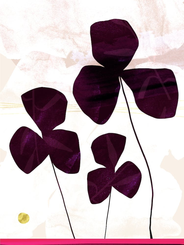 Stone Daisies