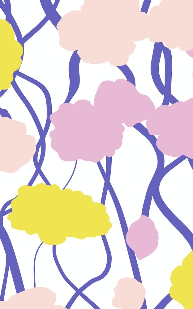 Poppies At Springtime