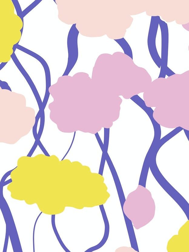 Poppies At Springtime