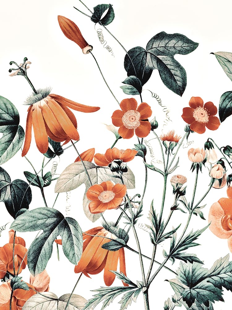 Fleurs Sauvages