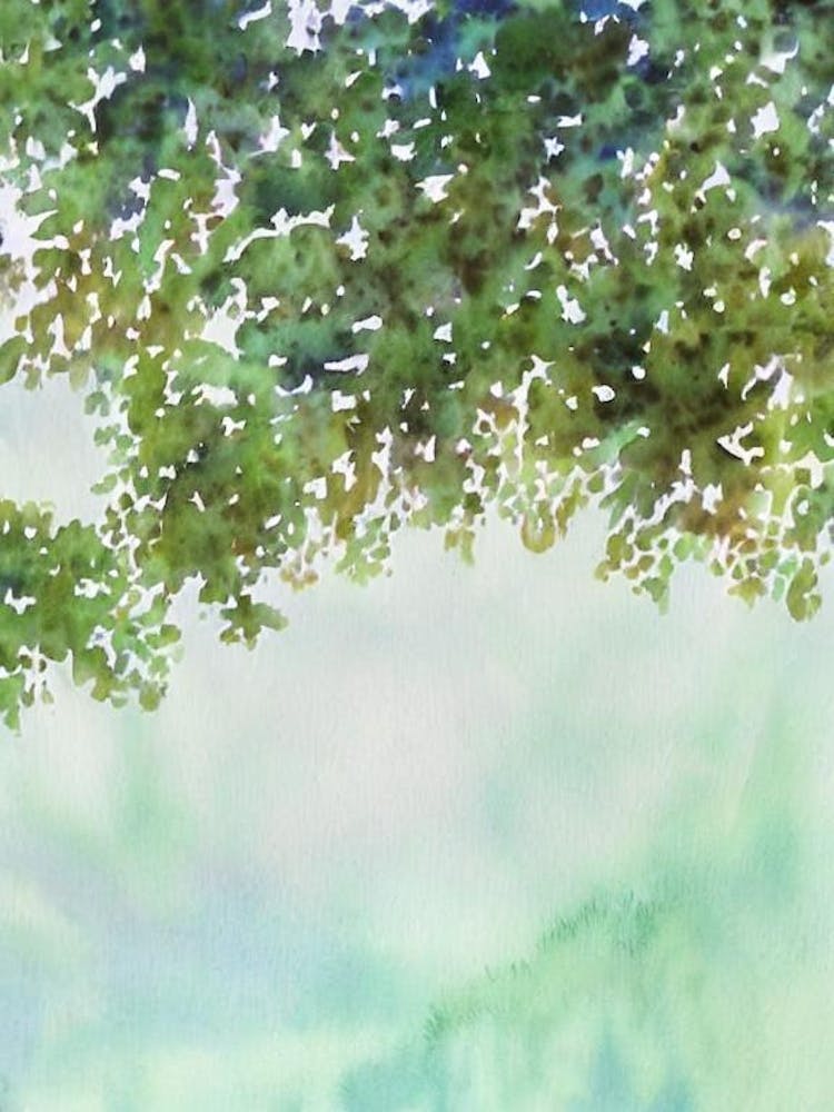 Acropora Tenius Iii Aquarelle Conte de Fées