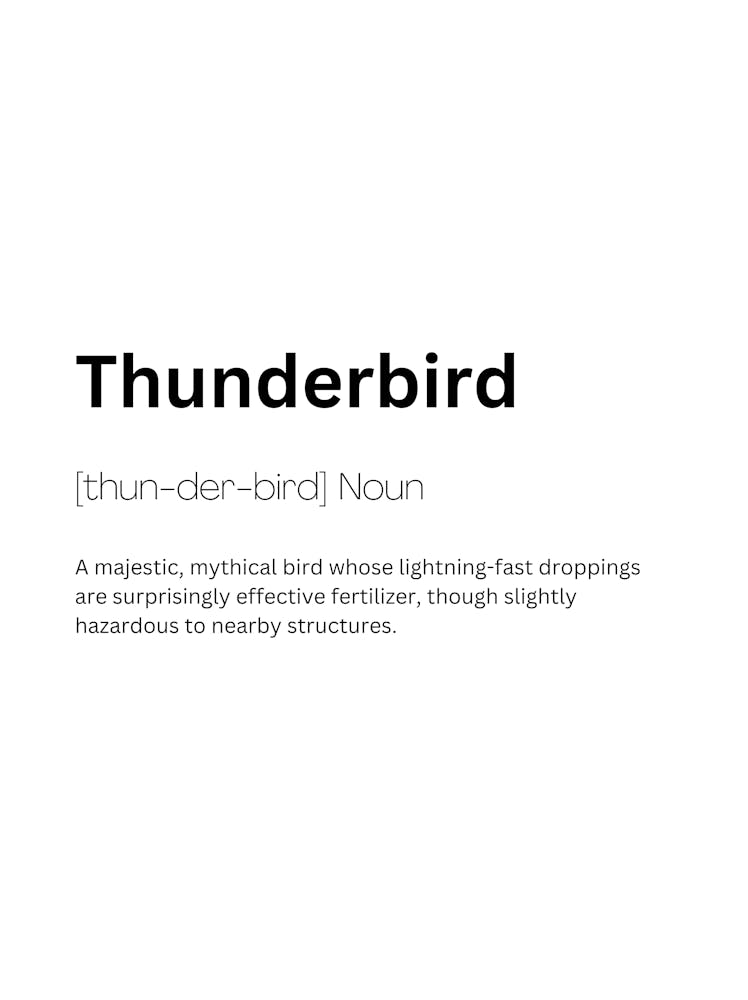 Thunderbird Definition Meaning