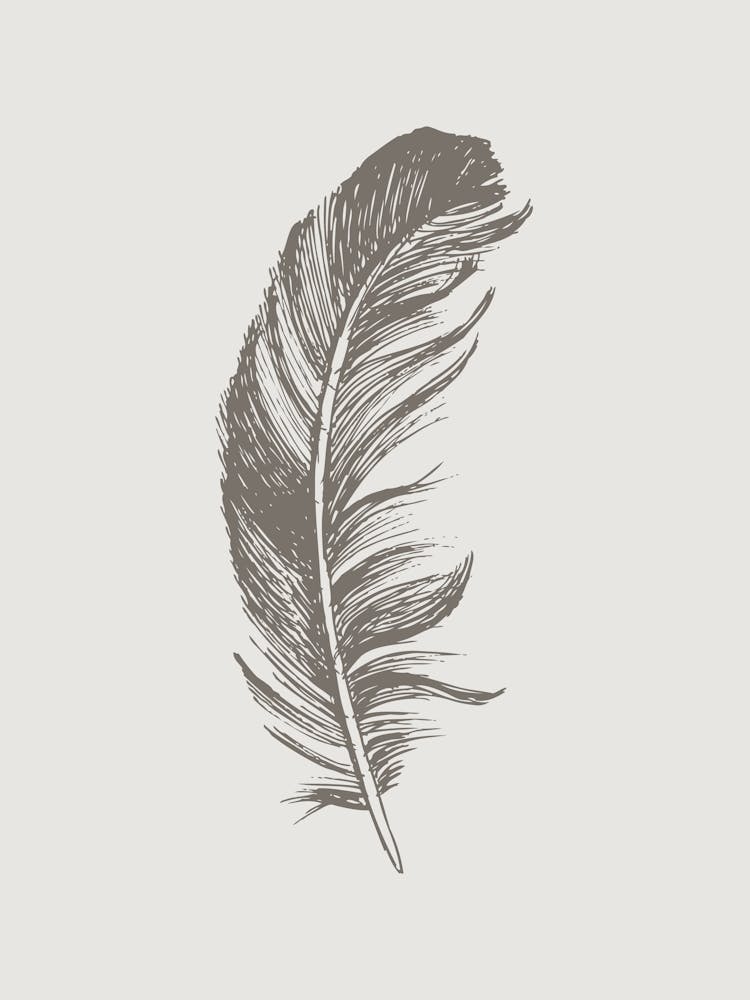 Grey Feather Print 4